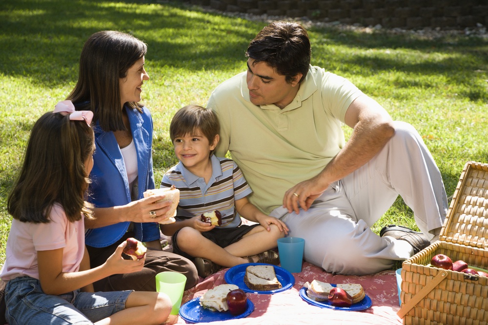 a picnic party essay in english with quotations a picnic party essay in english with quotations