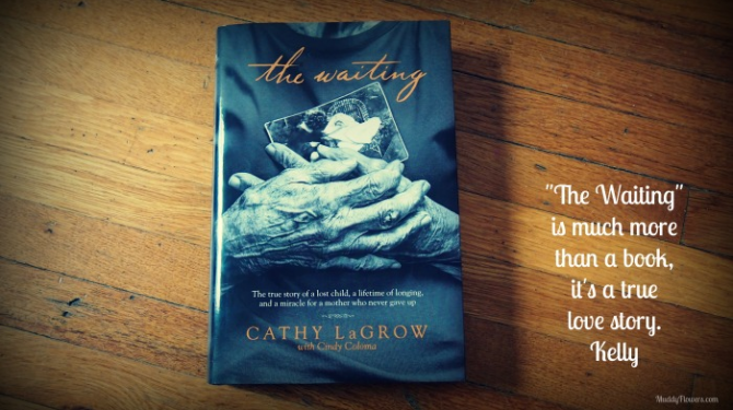 lady in waiting book review lady in waiting book review