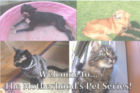 The Motherhood Pets