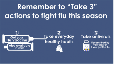 Fight the flu Steps
