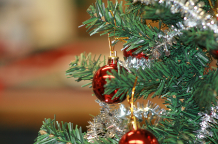 Christmas Tree Close Up