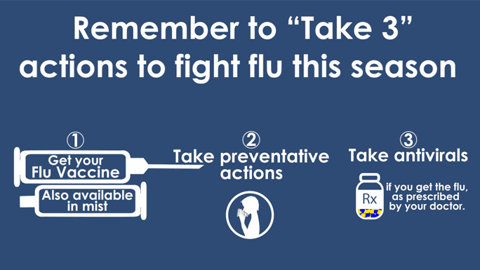 Fight the Flu Steps