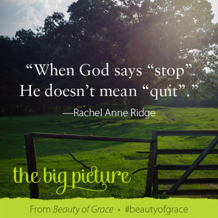Quote on Quitting Rachel Anne Ridge