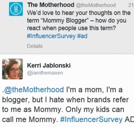 Mommy Blogger
