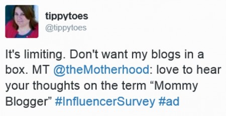 Mommy Blogger