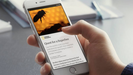 National Geographic Facebook Article
