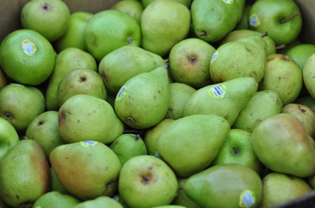 health conscious eat pears