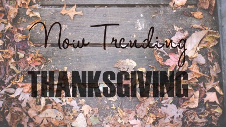 search trends for Thanksgiving